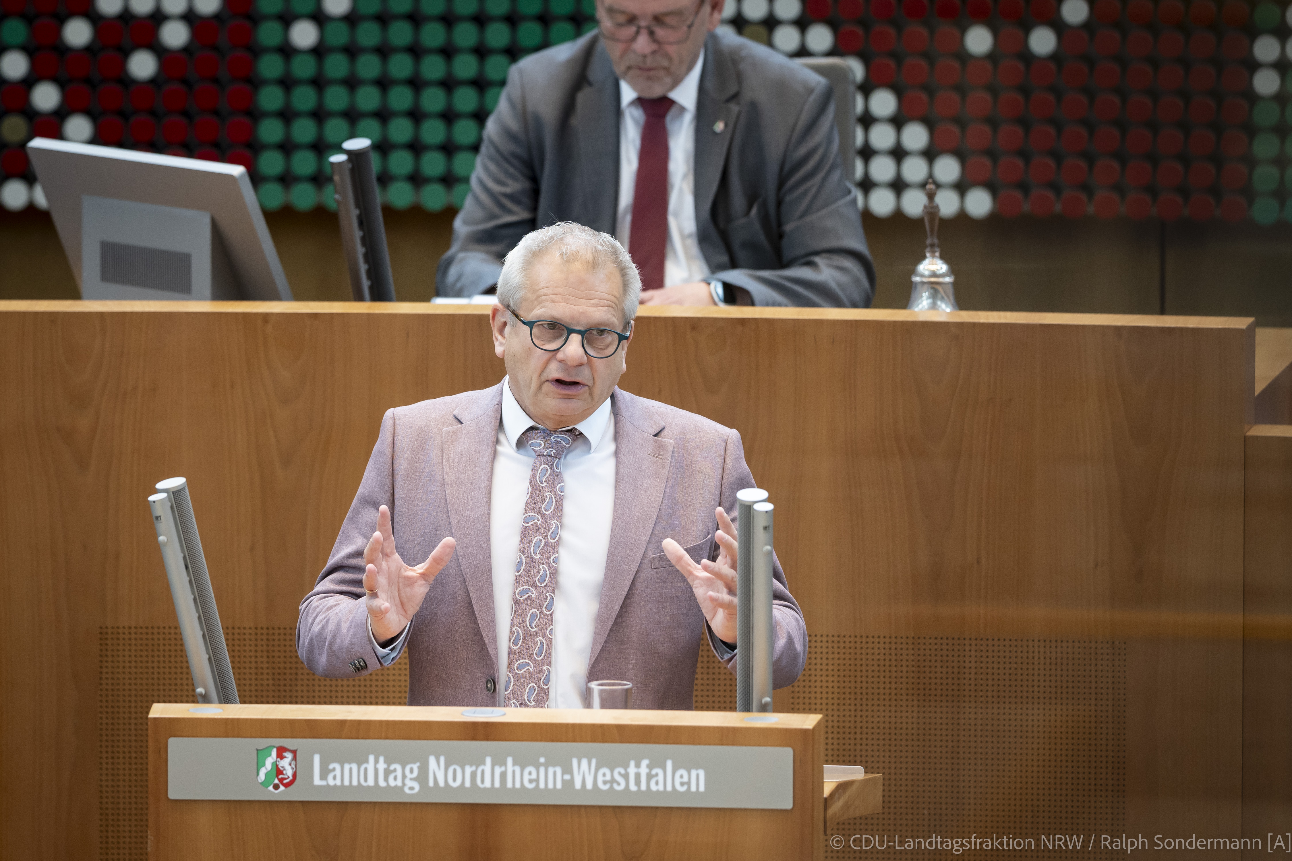 Thomas Schnelle im Plenum